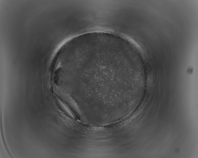 X0000094361310200711301416