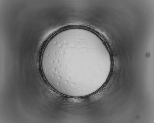 X0000094361311200711301416