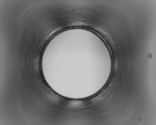 X0000094361313200711301416