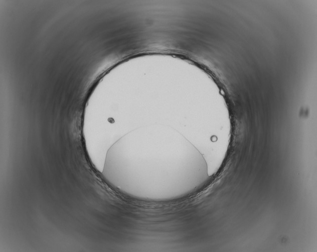 X0000094361314200711301416