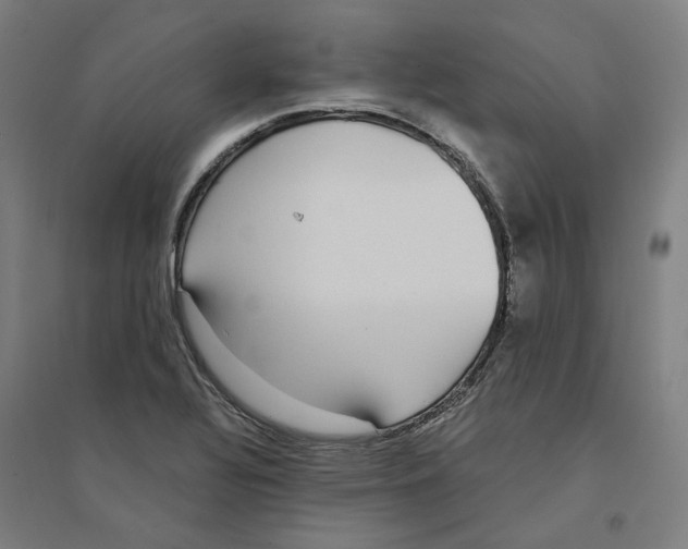 X0000094361320200711301416