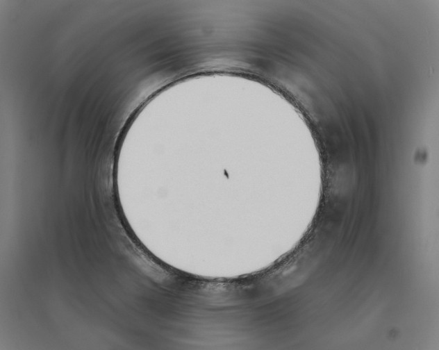 X0000094361322200711301416
