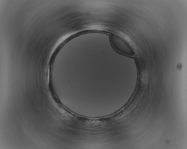 X0000094361323200711301416