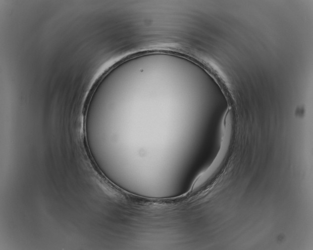 X0000094361324200711301416