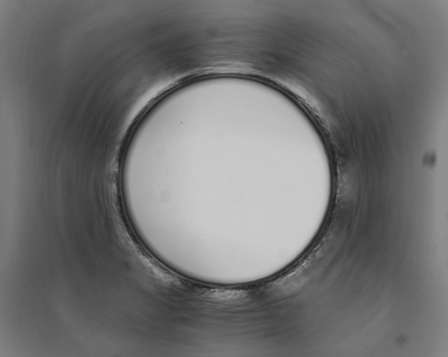 X0000094361325200711301416