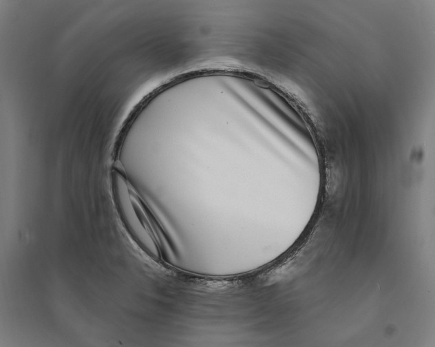 X0000094361326200711301416