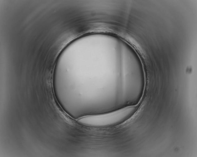 X0000094361329200711301416