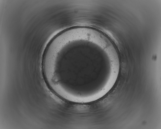 X0000094361331200711301416