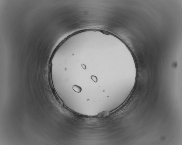 X0000094361332200711301416