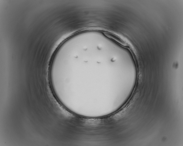 X0000094361333200711301416