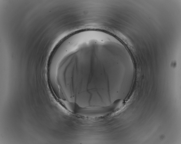 X0000094361334200711301416