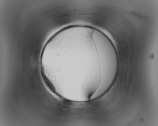 X0000094361335200711301416