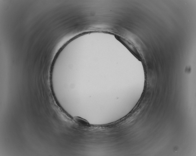 X0000094361336200711301416