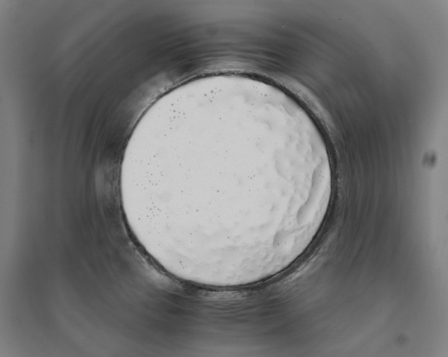 X0000094361337200711301416