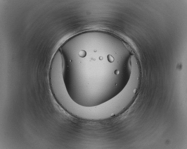 X0000094361338200711301416