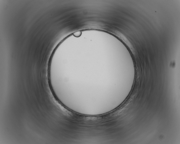 X0000094361339200711301416