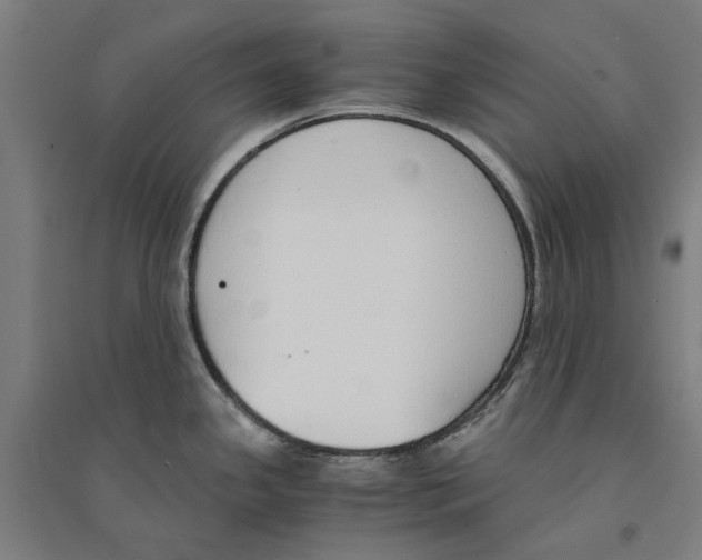 X0000094361341200711301416