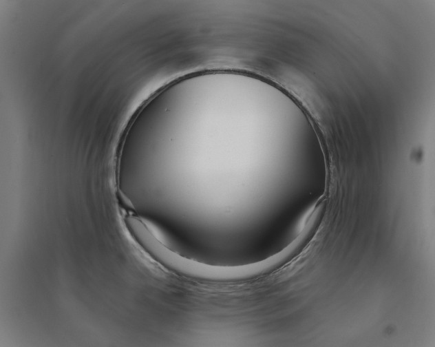 X0000094361342200711301416