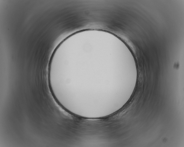 X0000094361343200711301416