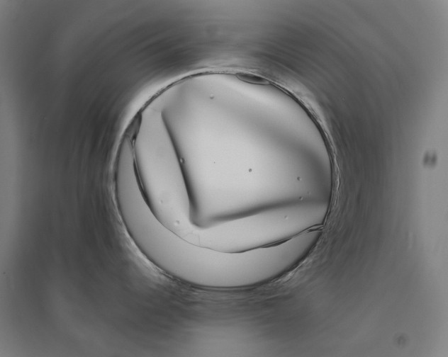X0000094361344200711301416