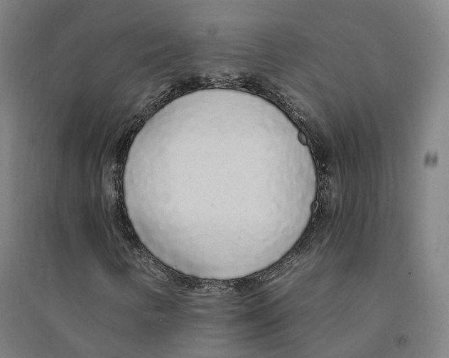 X0000094361346200711301415