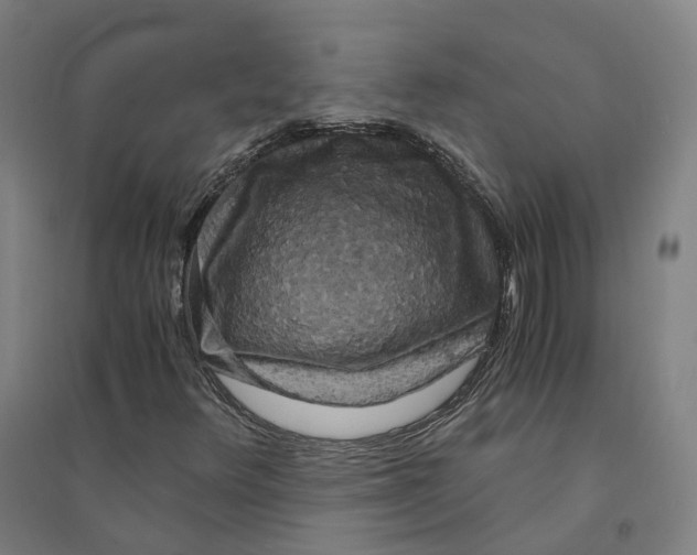 X0000094361348200711301415