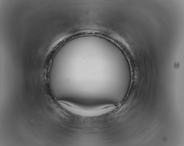 X0000094361352200711301415