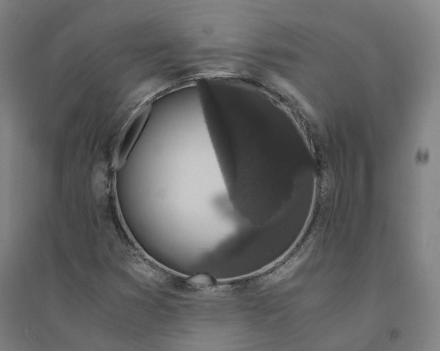 X0000094361353200711301415