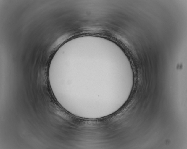 X0000094361354200711301415