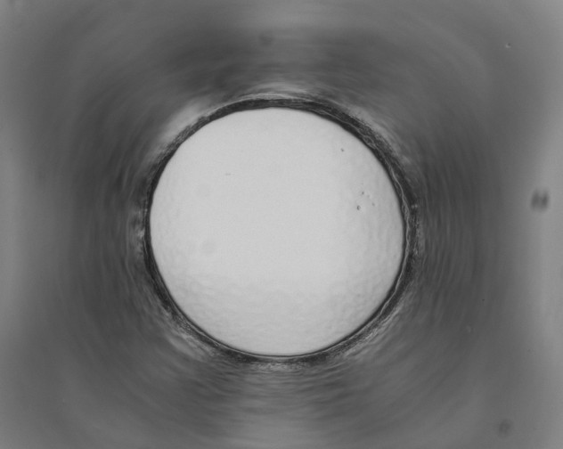 X0000094361355200711301415