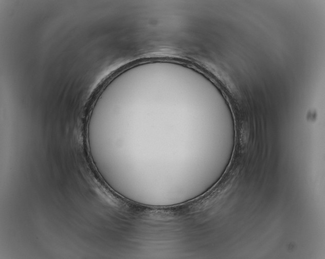 X0000094361356200711301415