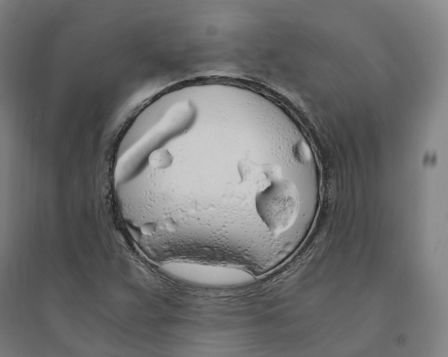 X0000094361359200711301415