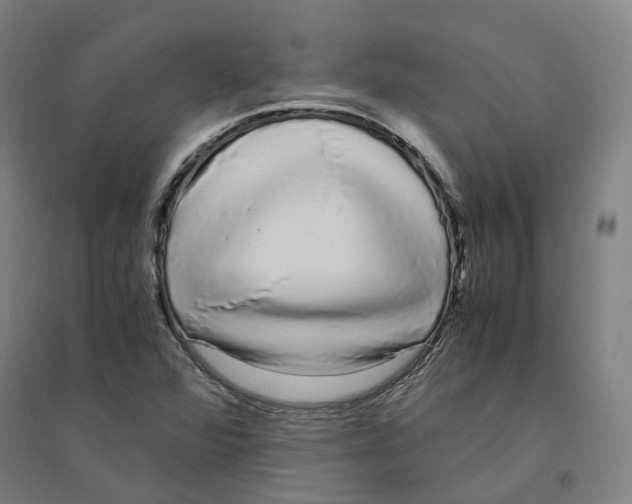 X0000094361360200711301415