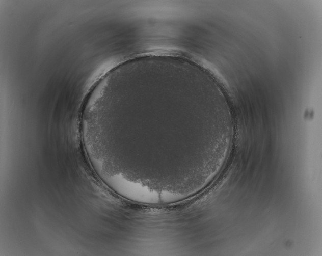 X0000094361362200711301415