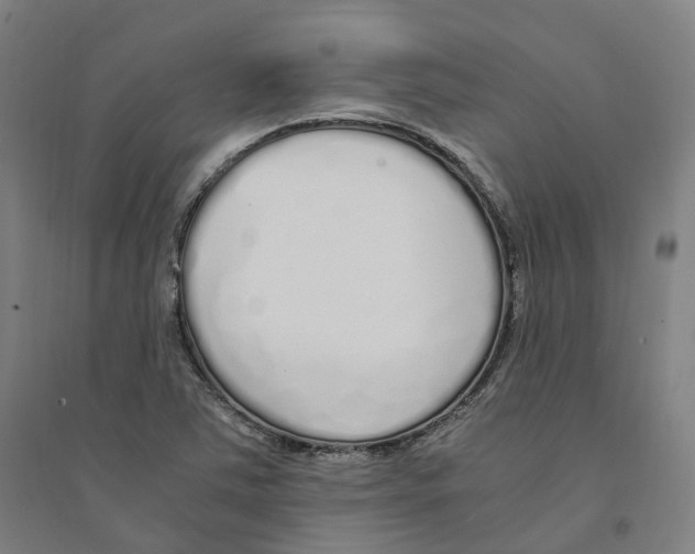 X0000094361363200711301415