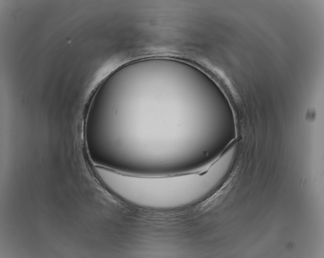 X0000094361365200711301415