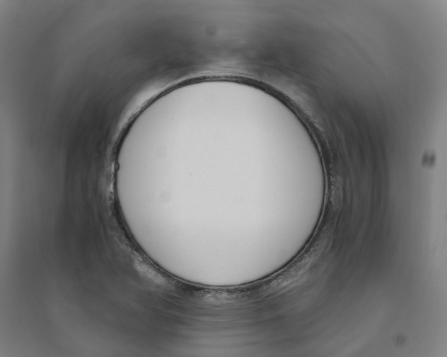 X0000094361366200711301415