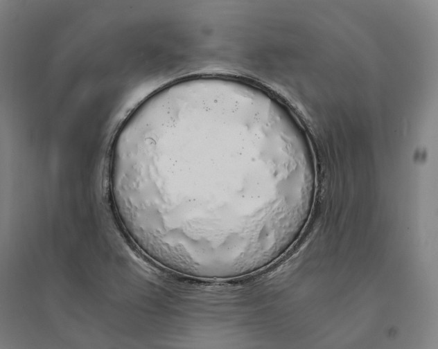 X0000094361367200711301415