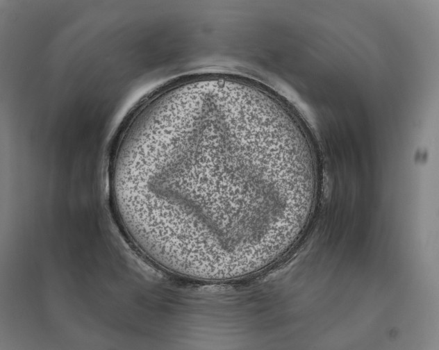 X0000094361368200711301415