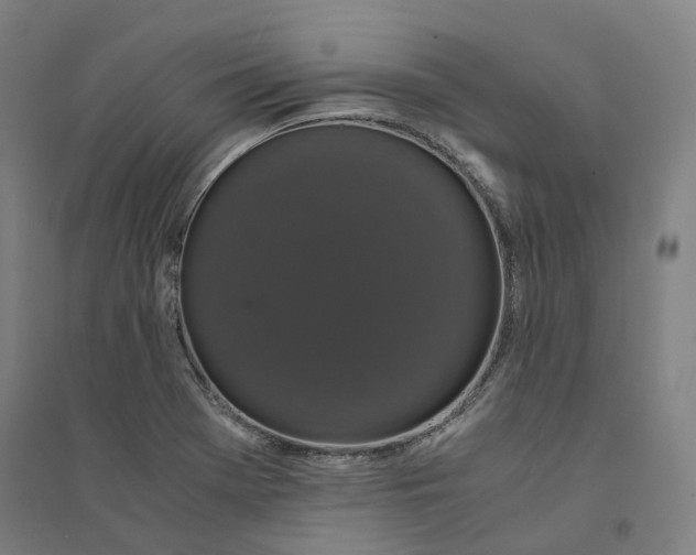 X0000094361369200711301415