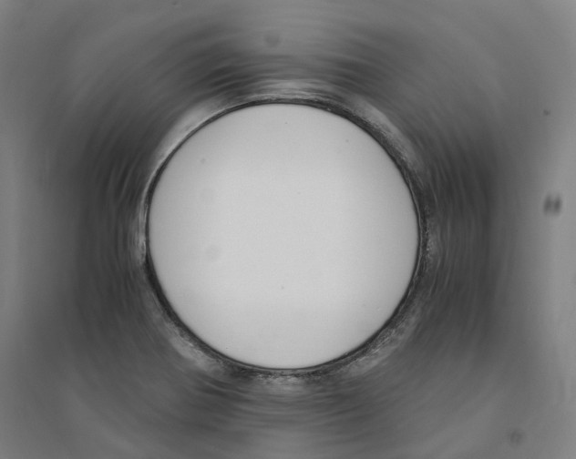 X0000094361370200711301415
