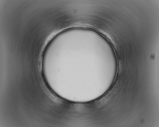 X0000094361371200711301415