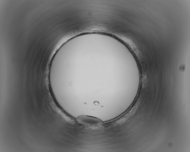 X0000094361374200711301415