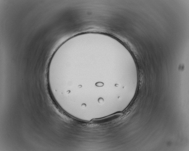 X0000094361375200711301415