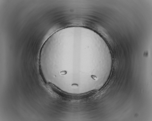 X0000094361378200711301415