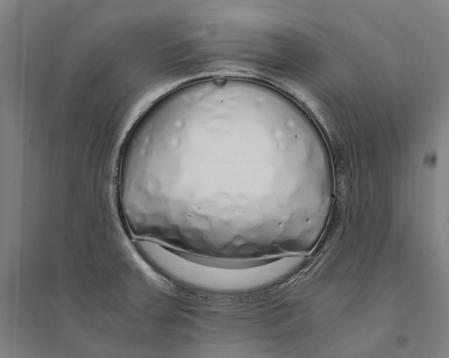 X0000094361379200711301415