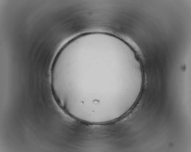 X0000094361380200711301415