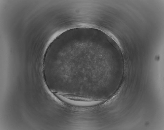 X0000094361381200711301415