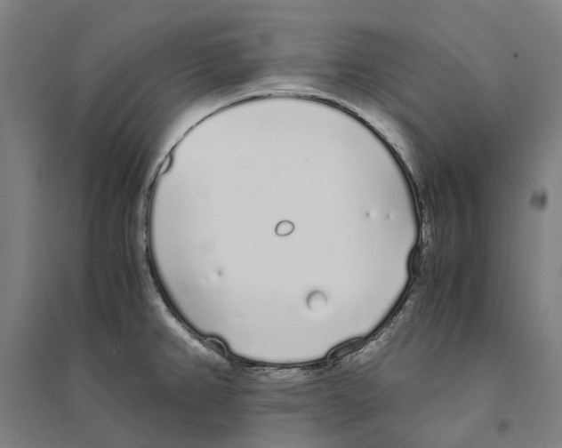 X0000094361382200711301415