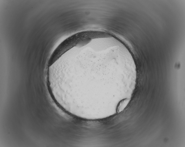 X0000094361383200711301415